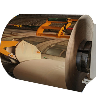 ASTM 201 304 der 316 Spiegel-Edelstahl walzte Spulen mit PVD Rose Gold Coating kalt